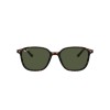 Ray-Ban Leonard RB 2193 (902/31)