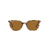 Ray-Ban Elliot RB 2197 (135757)