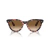 Ray-Ban Wayfarer Way RB 2241 (133451)