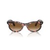 Ray-Ban Wayfarer Oval RB 2242 (133451)