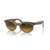 Ray-Ban Wayfarer Oval Change RB 2242 (138685)