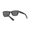 Ray-Ban Caribbean RB 2248 (902/R5)