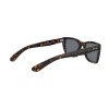 Ray-Ban Caribbean RB 2248 (902/R5)
