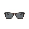 Ray-Ban Caribbean RB 2248 (902/R5)