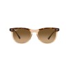 Ray-Ban Eagle Eye RB 2398 (1292M2)