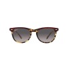 Ray-Ban Eagle Eye RB 2398 (1377M3)