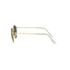 Ray-Ban RB 3447 Round Metal (001)