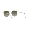 Ray-Ban Round Metal RB 3447 (001/71)