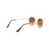 Ray-Ban RB 3447 Round Metal (9001A5)