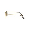 Ray-Ban Round Flat Lenses RB 3447N (001/30)