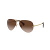 Ray-Ban RB 3449 (001/13)