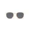 Ray-Ban Hexagonal RB 3548N (001/R5)