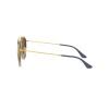 Ray-Ban Round Double Bridge RB 3647N (001/9U)