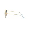 Ray-Ban RB Round Double Bridge 3647N (91233M)
