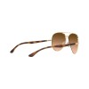 Ray-Ban RB 3675 (9127A5)