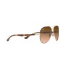 Ray-Ban RB 3675 (9127A5)