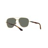 Ray-Ban RB 3683 (001/58)