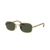 Ray-Ban RB 3690 (001/31)