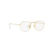 Ray-Ban Frank RB 3857 (001/GH)