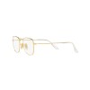 Ray-Ban Frank RB 3857 (001/GH)