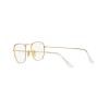 Ray-Ban Frank RB 3857 (001/GH)