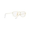 Ray-Ban Frank RB 3857 (001/GH)