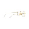 Ray-Ban Frank RB 3857 (001/GH)