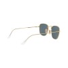 Ray-Ban Frank Legend Gold RB 3857 (9196R5)