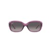 Ray-Ban Jackie Ohh RB 4101 (6591M3)