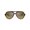 Ray-Ban Scuderia Ferrari Collection RB 4125M (F6093K)