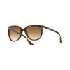 Ray-Ban Cats 1000 RB 4126 (710/51)