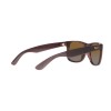 Ray-Ban Justin RB 4165 (6597T5)