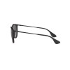 Ray-Ban Erika RB 4171 (622/8G)