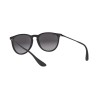 Ray-Ban Erika RB 4171 (622/8G)