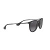 Ray-Ban Erika RB 4171 (622/8G)