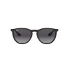Ray-Ban Erika RB 4171 (622/8G)
