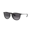 Ray-Ban Erika RB 4171 (622/8G)