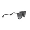 Ray-Ban Erika RB 4171 (622/T3)