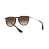 Ray-Ban Erika RB 4171 (631513)