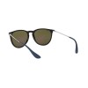 Ray-Ban Erika Color Mix RB 4171 (631855)