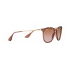 Ray-Ban Erika RB 4171 (659013)
