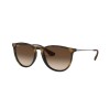 Ray-Ban Erika (f) RB 4171F (865/13)