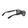 Ray-Ban Andy RB 4202 (615355)