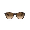 Ray-Ban RB 4203 (710/13)