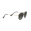 Ray-Ban RB 4253 (601/71)