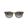 Ray-Ban RB 4259 (710/11)