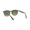 Ray-Ban RB 4259 (731/E8)