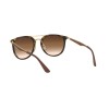 Ray-Ban RB 4285 (710/13)