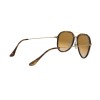 Ray-Ban RB 4298 (710/51)