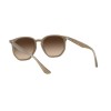 Ray-Ban RB 4306 (616613)